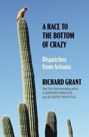 A Race to the Bottom of Crazy - 17 Sep 2024