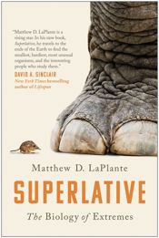 Superlative - 30 Apr 2019
