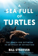A Sea Full of Turtles - 2 Jul 2024