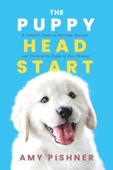 The Puppy Head Start - 27 Jan 2026