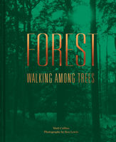 Forest - 7 Feb 2019
