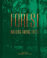 Forest - 7 Feb 2019
