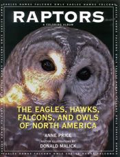 Raptors - 11 Sep 2002