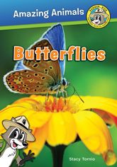 Butterflies - 15 Jul 2016