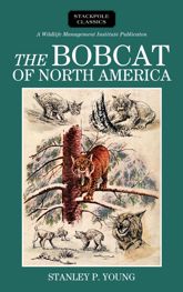 Bobcat of North America - 15 Sep 2017