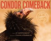 Condor Comeback - 28 Jul 2020