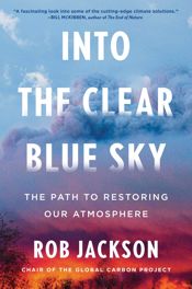 Into the Clear Blue Sky - 30 Jul 2024