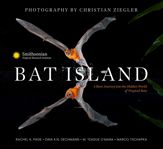 Bat Island - 21 Nov 2023