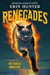 Renegades #1: The Magic Awakens - 19 May 2026
