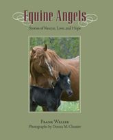 Equine Angels - 14 Oct 2008