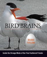 Bird Brains - 3 Sep 2013