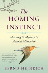 The Homing Instinct - 8 Apr 2014