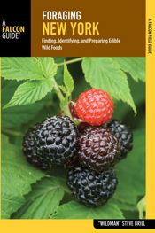 Foraging New York - 1 May 2017