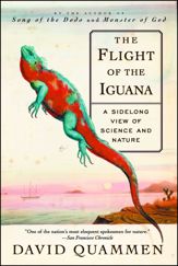 The Flight of the Iguana - 16 Oct 2012