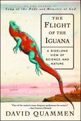 The Flight of the Iguana - 16 Oct 2012