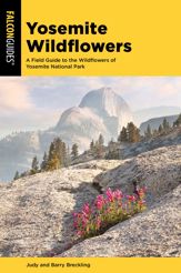 Yosemite Wildflowers - 1 Mar 2020