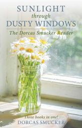 Sunlight Through Dusty Windows - 5 Sep 2017