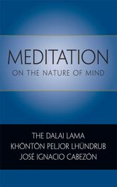 Meditation on the Nature of Mind - 23 Mar 2011