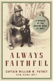 Always Faithful - 22 Feb 2002