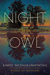 Night Owl - 31 Mar 2026