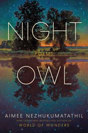 Night Owl - 31 Mar 2026
