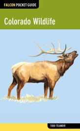 Colorado Wildlife - 3 Jun 2014