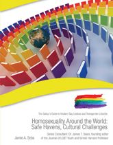 Homosexuality Around the World - 17 Nov 2014
