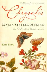 Chrysalis - 16 Sep 2013