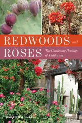 Redwoods and Roses - 1 Jul 2020