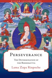 Perseverance - 23 Jan 2024