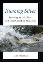 Running Silver - 15 Oct 2013