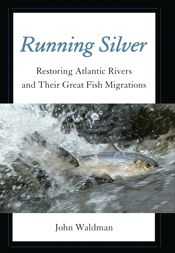 Running Silver - 15 Oct 2013