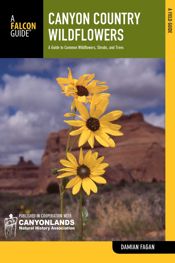 Canyon Country Wildflowers - 3 Apr 2012
