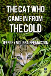 The Cat Who Came in from the Cold - 30 Aug 2012
