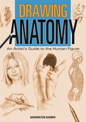 Drawing Anatomy - 13 Jun 2017