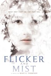 Flicker and Mist - 3 Jan 2017