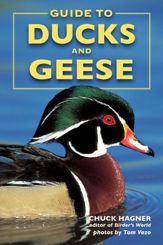 Guide to Ducks and Geese - 4 Aug 2006