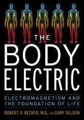 The Body Electric - 31 Mar 2026