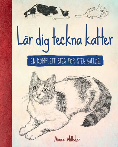 Lär dig teckna katter