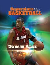 Dwyane Wade - 17 Nov 2014
