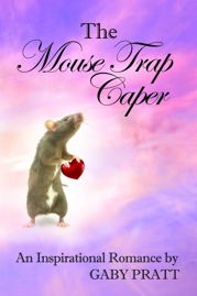 The Mouse Trap Caper - 1 Feb 2012