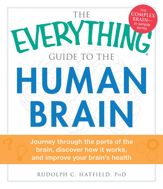 The Everything Guide to the Human Brain - 18 May 2013