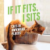 If It Fits, I Sits - 3 May 2016