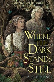 Where the Dark Stands Still - 27 Feb 2024