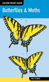 Butterflies & Moths - 16 Apr 2013