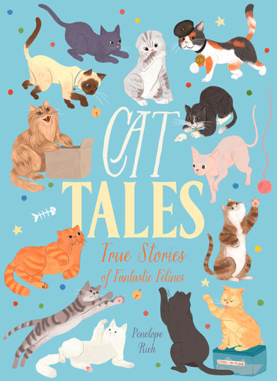Cat Tales