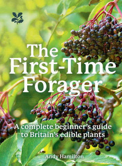 The First-Time Forager