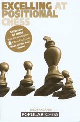 Excelling at Positional Chess - 1 Aug 2003