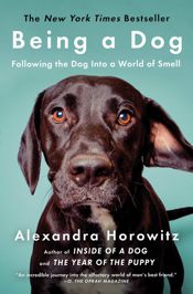 Being a Dog - 4 Oct 2016