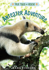 Anteater Adventure - 9 Apr 2019